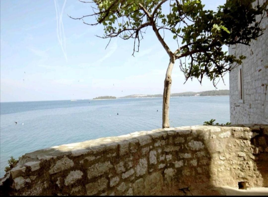 Apartment Martin - 10 Mt To The Beach Rovinj Exteriér fotografie